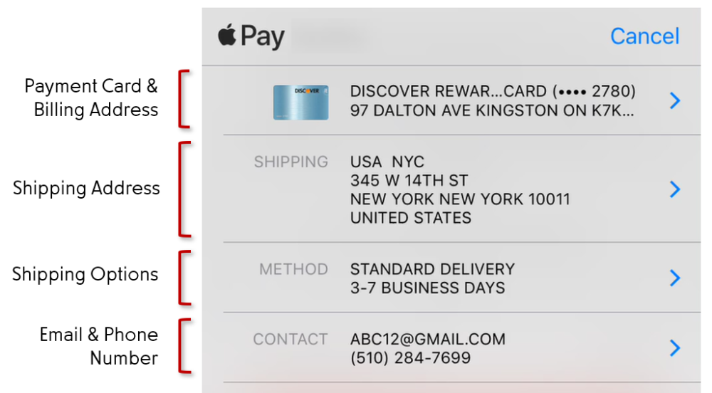 Apple Pay Interface