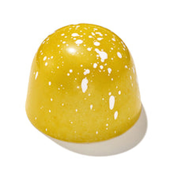 Fresh Lemon